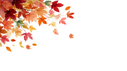 Watercolor autumn leaves on black background. Fall design element.