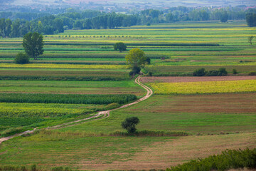 Fototapeta premium General view of the agricultural area and dirt road in the Trakya region