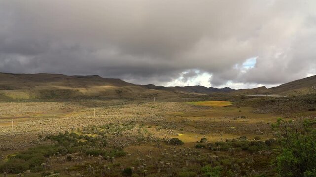 Video pan of Sumapaz p&aacute;ramo with iconic frailejones and cloudy mountains, highlighting Colombia&rsquo;s unique high Andean ecosystem.