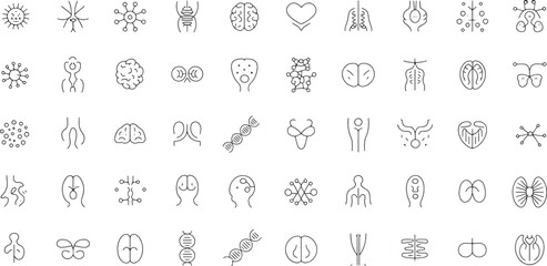 Detailed set of thin line vector icons representing various biological structures, human anatomy, and scientific concepts for medical research and education