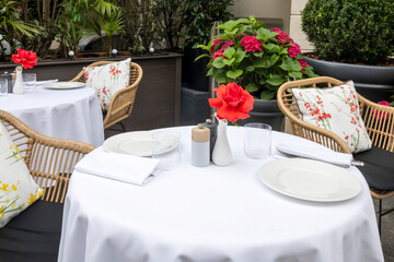  Elegant Outdoor Dining Table Setting with Red Roses and Wicker Chairs