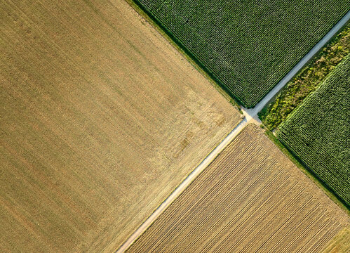 geometric aerial shot of partly harvested corn and wheat fields