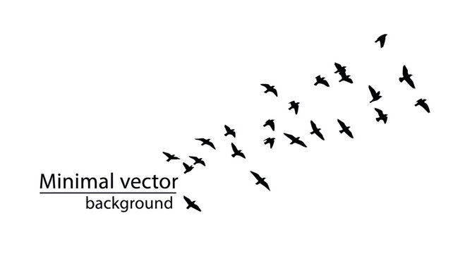 Flock of Black Birds in Flight, Minimalist Silhouette.
