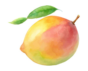 Watercolor tropical mango fruits isolated on white background