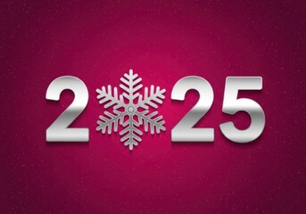 Silver snowflake replaces zero in 2025 new year s eve celebration