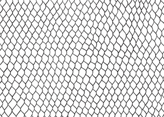 Abstract snake skin pattern design, vector illustration background. wildlife fur skin design illustration.