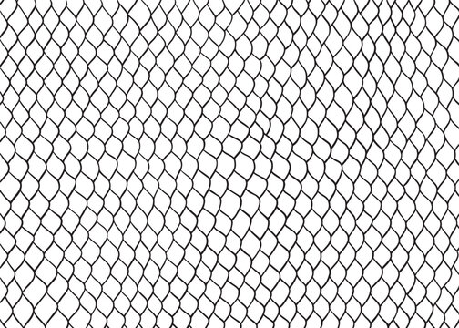 Abstract snake skin pattern design, vector illustration background. wildlife fur skin design illustration.