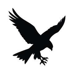 Obraz premium Silhouette of a bird of prey with wings spread in flight