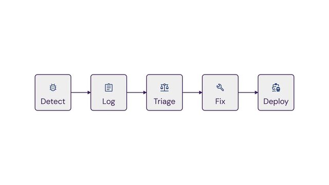 Animated Bug Fix Flowchart Detect to Deploy
