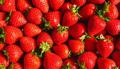 Fresh strawberries displayed in abundance vibrant red color and juicy texture outdoors