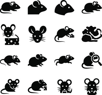 Vector Mouse Shape