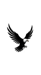 Fototapeta premium Apex of Shadow Flight