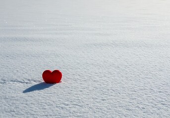 Fototapeta premium Crimson Hope in Winter's Embrace