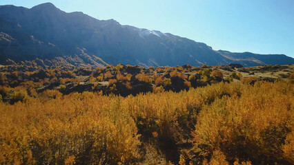 autumn landscape with mountains