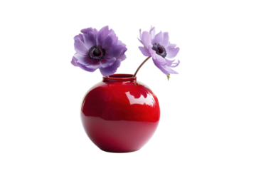 A striking red vase showcases beautiful purple anemone flowers, brightening up any space with elegance and charm isolated on transparent background