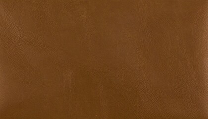 Brown leather texture (1)