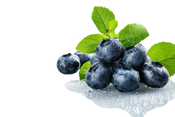 Fresh blueberries glistening with water drops alongside vibrant mint leaves on a reflective surface in soft natural light isolated on transparent background
