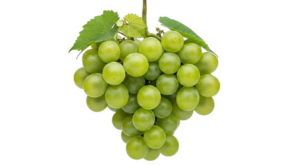 a lush cluster of green grapes natures sweet bounty, ready to delight