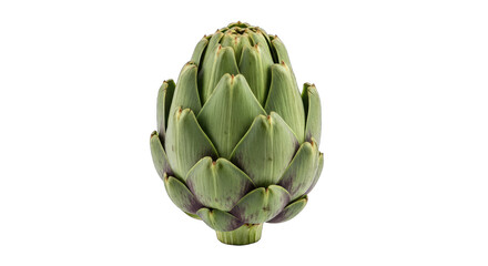 artichoke a culinary gem, natures embrace, vibrant green goodness