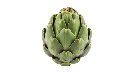 Fototapeta premium artichoke a culinary jewel, mediterranean delight, natures embrace