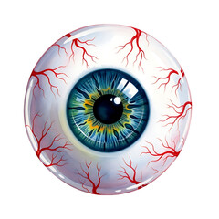 Realistic Eyeball Vector Illustration with Veins, Blue Iris and White Background