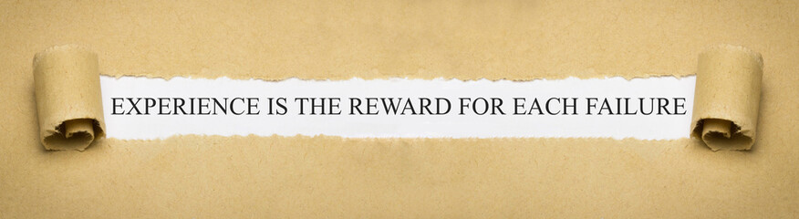 Experience is the reward for each failure