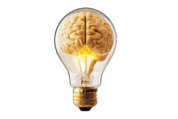 brainstorm idea symbol light bulb isolated on white background