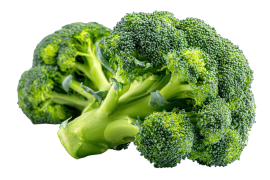 broccoli isolated on white background healthy vegetable concept