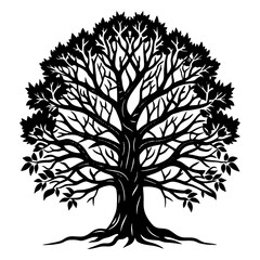 Obraz premium Intricate black silhouette of a mature tree with sprawling branches and detailed roots against a white background