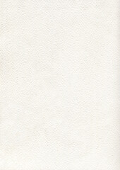 Watercolor paper texture background golden ratio