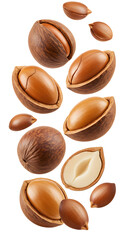Shelled and unshelled argan nuts isolated on white background, useful for food, cosmetics, and natural health products