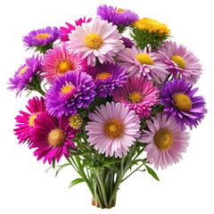 Fototapeta premium Beautiful bouquet of colorful asters with delicate petals isolated on transparent background