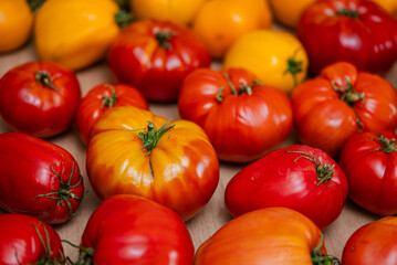 Colorful mix of ripe red and yellow tomatoes, freshly harvested and arranged on a wooden table, showcasing the variety and abundance of a summer garden