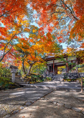 Naklejka premium Scenic view of Jojakkoji Temple with beautiful foliage in autumn in Kyoto, Japan