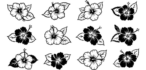 Vector art of twelve black and white hibiscus flower illustrations © MSTLIPE