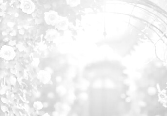 white flowers in the garden  © Yoye