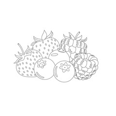 Group of Fresh Berries, Strawberries, Blueberries, and Raspberries