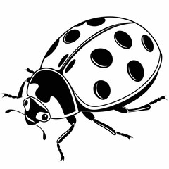 Obraz premium ladybird vector illustration
