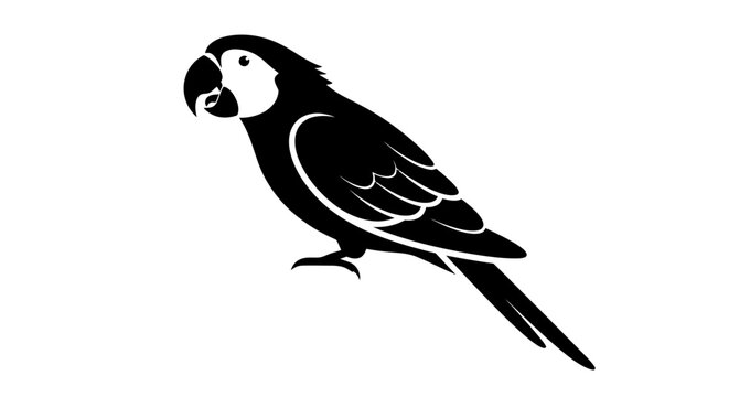 Silhouette of a Colorful Parrot in Profile View.