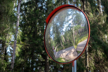 A roadside convex mirror reflects a curving forest road with trees, a bicycle, and multiple traffic signs in natural daylight.