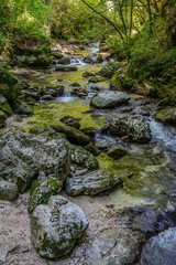 Obraz premium Over millions of years, the Orfento River (in the municipality of Caramanico Terme) has carved out a narrow gorge now covered by dense riparian vegetation featuring willows, ferns, and mosses.
