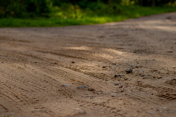 Fresh tire marks pressed into a sandy dirt road in a rural setting, with soft lighting and surrounding green forest background.