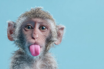 Portrait of monkey stick out tongue. Ai generative art