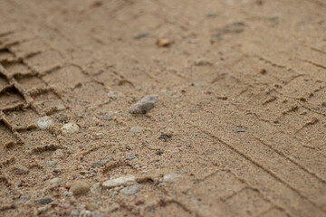 Faint tire tread marks with small pebbles scattered across sandy terrain, showing natural texture and vehicle movement patterns.