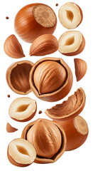 Close-up of shelled and unshelled hazelnuts isolated on white background, healthy snack and ingredient for desserts