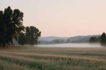 witness peaceful beauty of summer sunrises where light gently spills over lush green forests