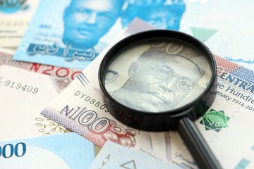 Nigerian naira currency money bills and magnifying glass. The concept of financial monitoring and taxation