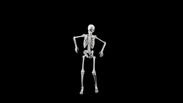A 3D rendered human skeleton performs a funny and energetic dance on a seamless loop against a plain black background, perfect for Halloween events or humorous digital projects