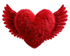 Furry red heart with wings, fantasy love element, soft texture, romantic symbol, isolated on transparent background, whimsical and dreamy design