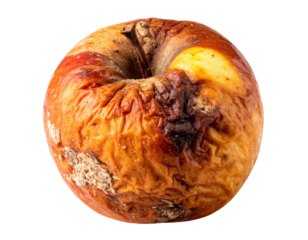 Rotten Brown Apple PNG Isolated